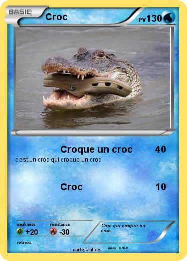 Pokemon Croc