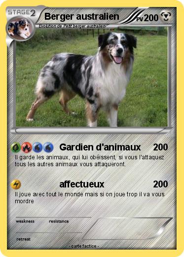 Pokemon Berger australien