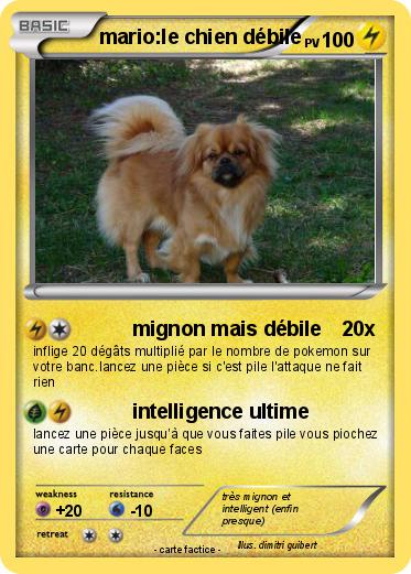 Pokemon mario:le chien débile