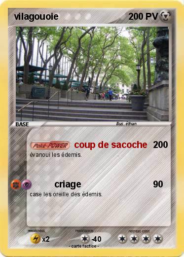 Pokemon vilagouoie