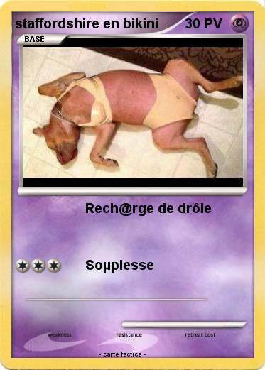 Pokemon staffordshire en bikini