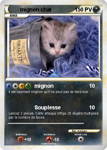 Pokemon mignon chat