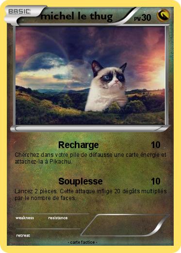 Pokemon michel le thug