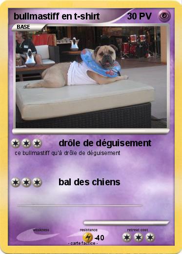 Pokemon bullmastiff en t-shirt