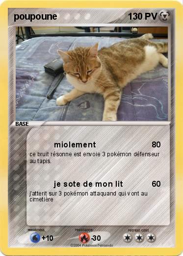 Pokemon poupoune