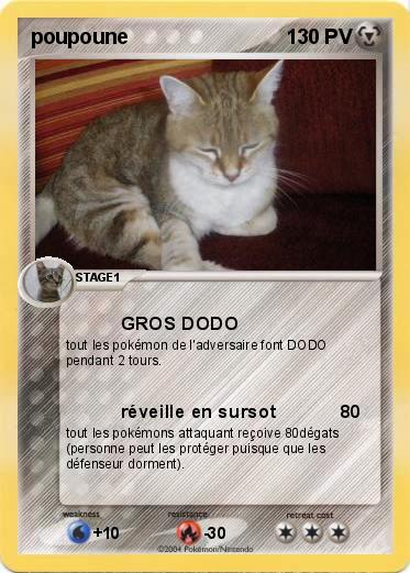 Pokemon poupoune