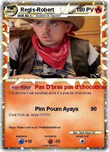 Pokemon Regis-Robert