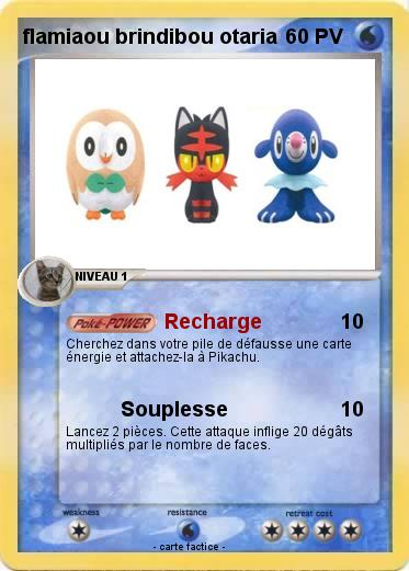 Pokemon flamiaou brindibou otaria