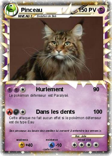 Pokemon Pinceau