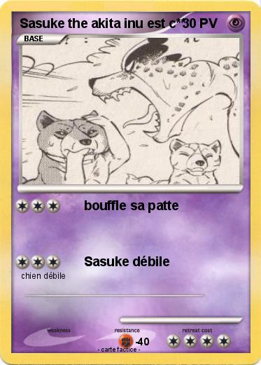 Pokemon Sasuke the akita inu est c**