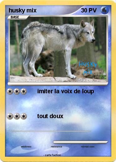 Pokemon husky mix