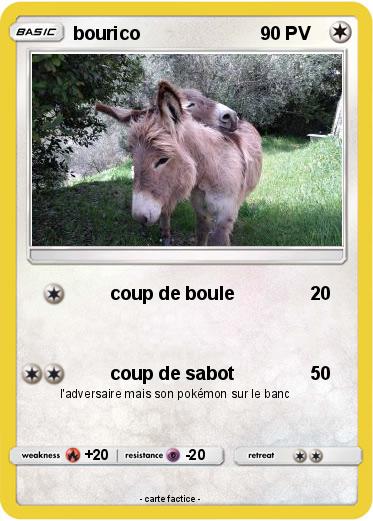 Pokemon bourico