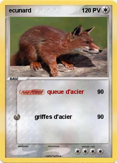 Pokemon ecunard