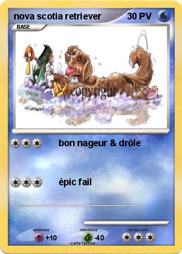 Pokemon nova scotia retriever