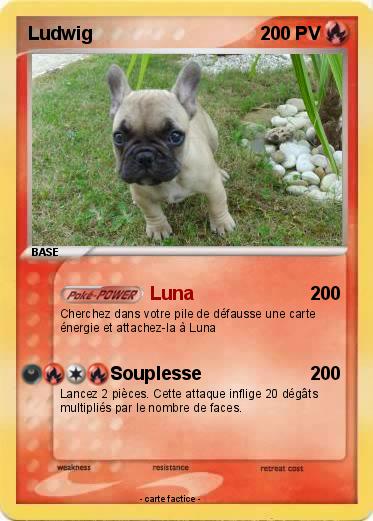 Pokemon Ludwig