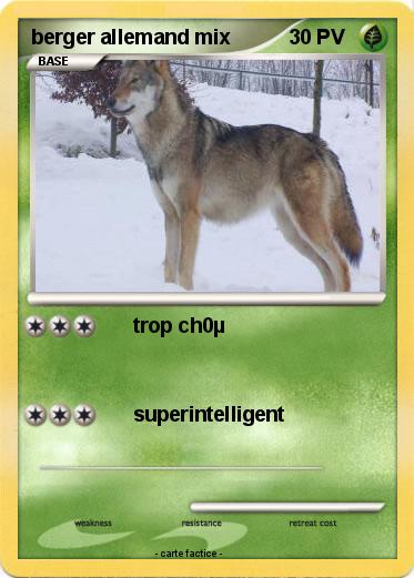 Pokemon berger allemand mix