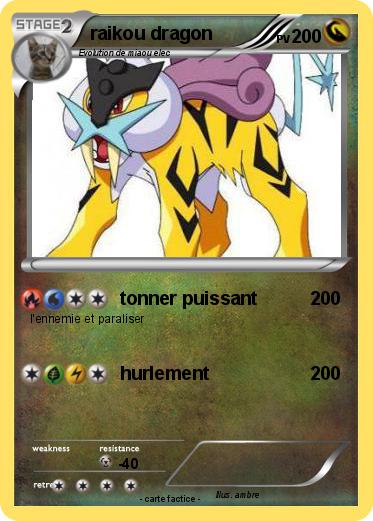 Pokemon raikou dragon