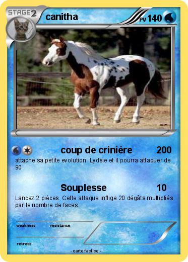 Pokemon canitha