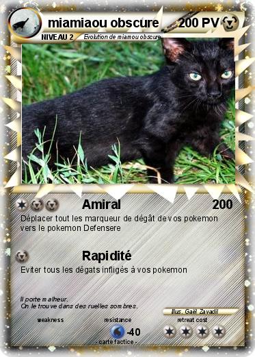 Pokemon miamiaou obscure