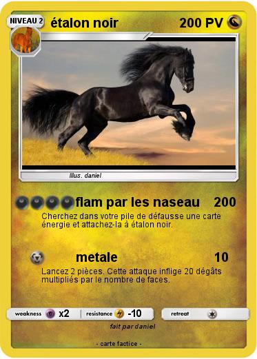 Pokemon étalon noir