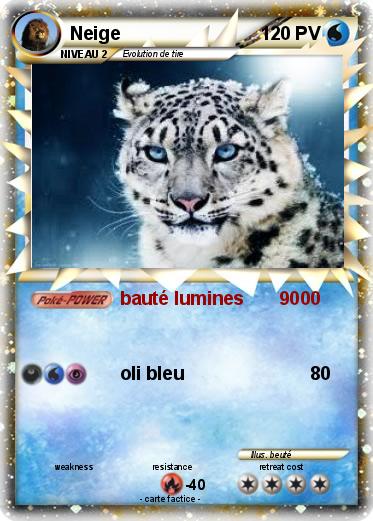 Pokemon Neige
