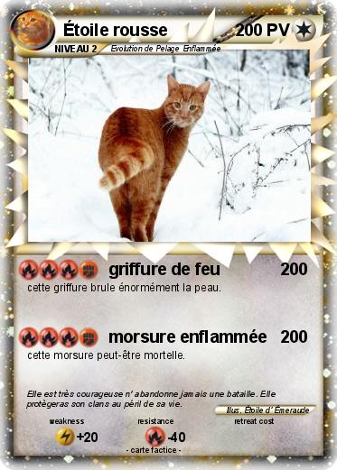 Pokemon Étoile rousse