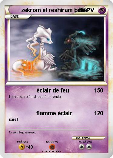 Pokemon zekrom et reshiram bébé