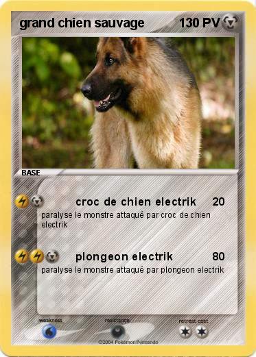 Pokemon grand chien sauvage