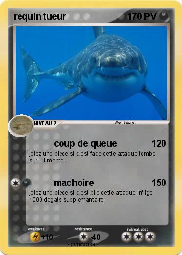 Pokemon requin tueur