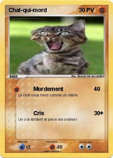 Pokemon Chat-qui-mord