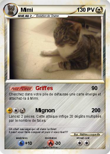 Pokemon Mimi
