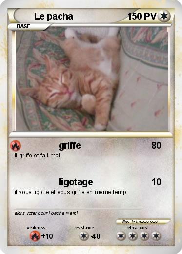 Pokemon Le pacha