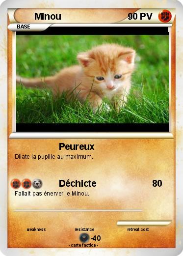 Pokemon Minou