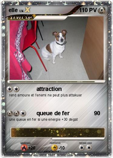 Pokemon elle