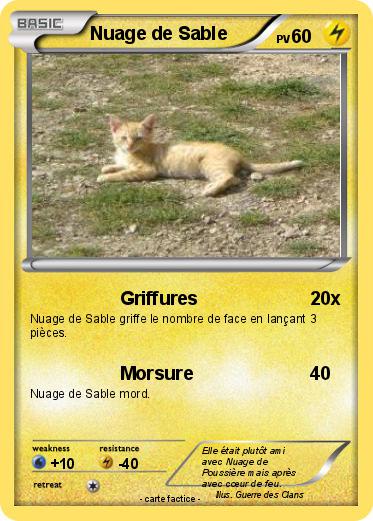 Pokemon Nuage de Sable