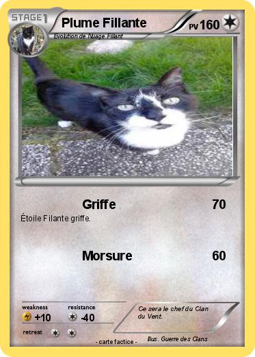 Pokemon Plume Fillante