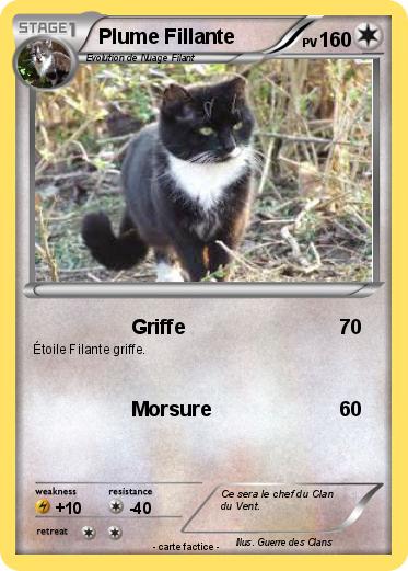 Pokemon Plume Fillante