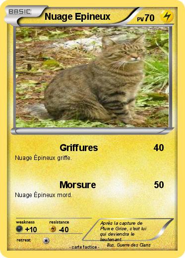 Pokemon Nuage Epineux