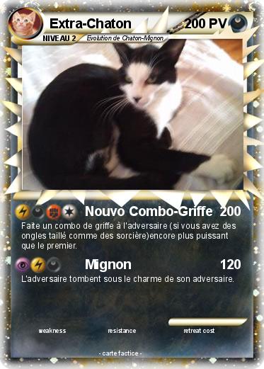 Pokemon Extra-Chaton