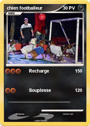Pokemon chien footballeur