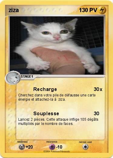 Pokemon ziza