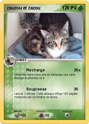 Pokemon zouzou et zazou