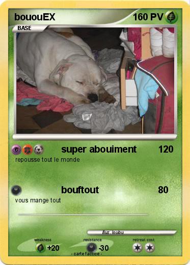 Pokemon bououEX