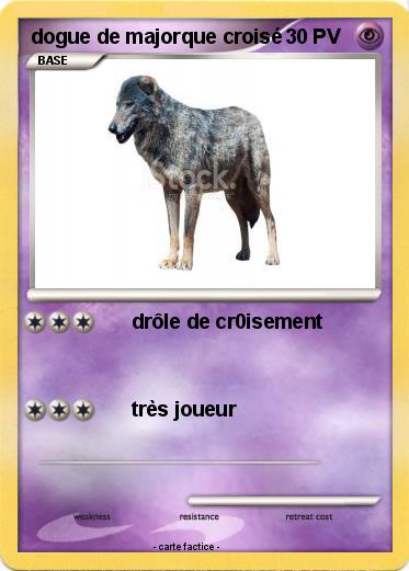 Pokemon dogue de majorque croisé
