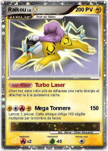 Pokemon Raikou