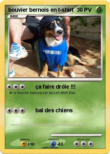 Pokemon bouvier bernois en t-shirt