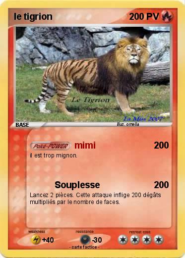 Pokemon le tigrion