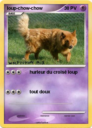 Pokemon loup-chow-chow