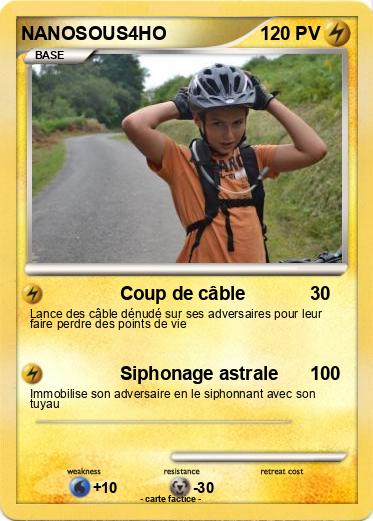 Pokemon NANOSOUS4HO