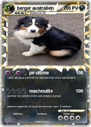 Pokemon berger australien